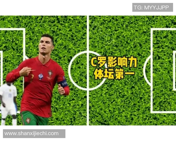 足球明星阵营的多样性与代表性分析探讨各大球星的归属与影响力