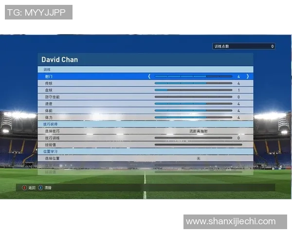足球明星各自位置解析与职业生涯发展探讨